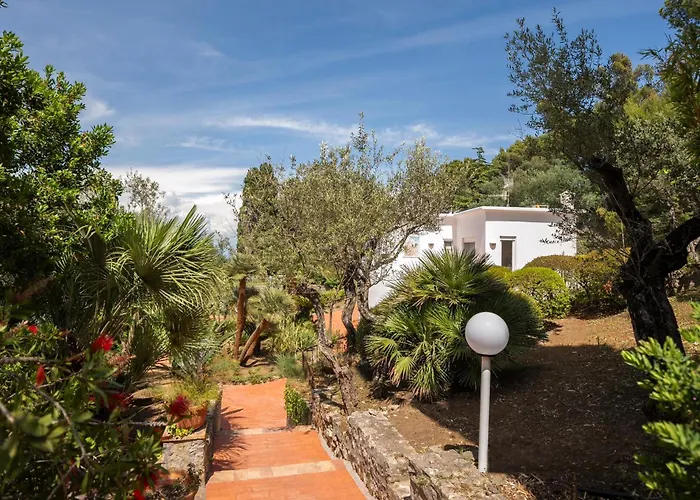 Donna Carolina Capri